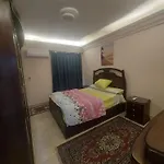 الجيزة شقة ذات غرفتين ترى النيل